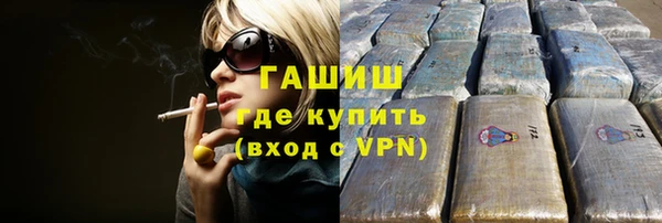 молекула духа Вяземский