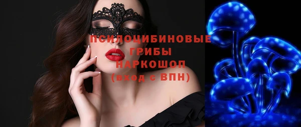 стаф Верхний Тагил