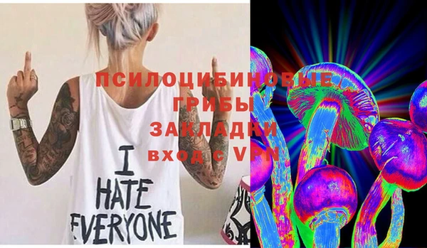 стаф Верхний Тагил