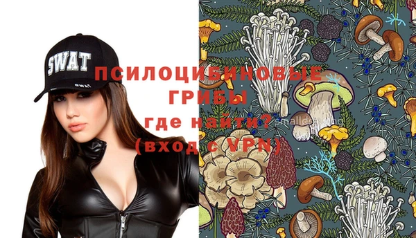 стаф Верхний Тагил
