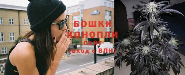 стаф Верхний Тагил