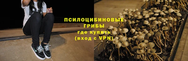 стаф Верхний Тагил